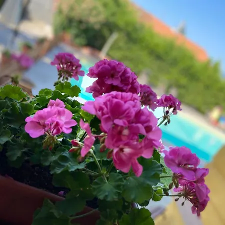 Moorings Barga