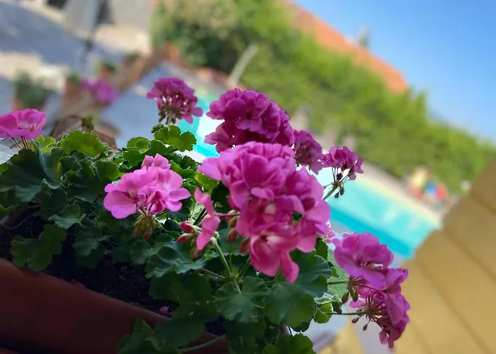 Moorings Barga